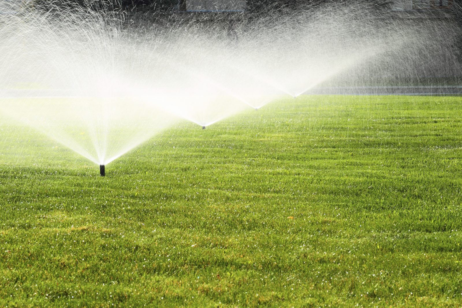 Overwatering your property can negatively impact the growth of your garden.