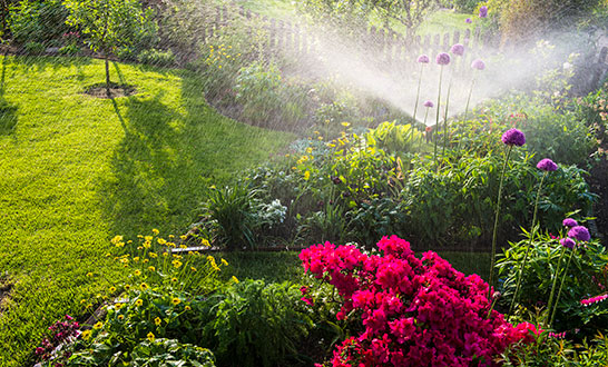 3 Interesting Irrigation Facts