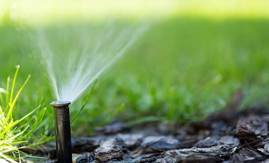 Here are just five reasons you need a lawn sprinkler system.