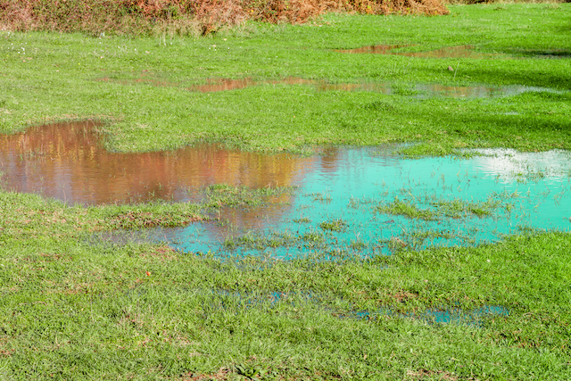 Why You Should Install A French Drain On Your Property