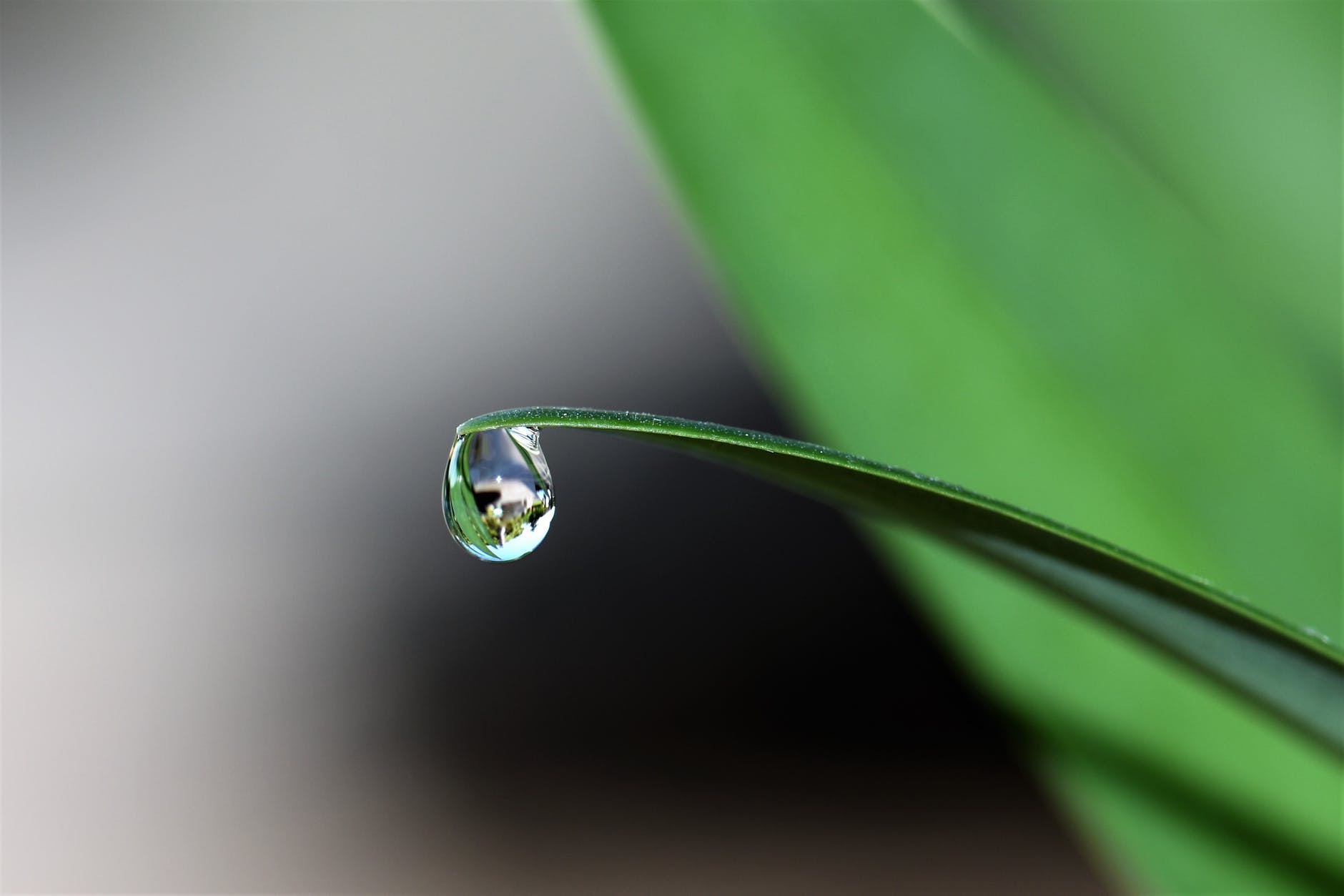 An Overview On Rain Gardens