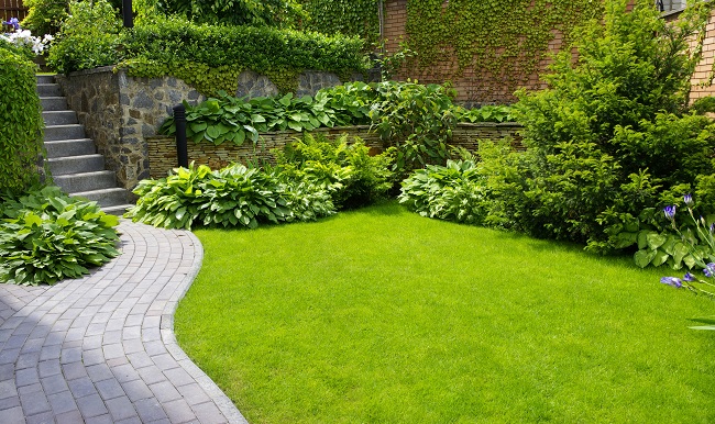 Save Money This Summer With Landscape Irrigation Services