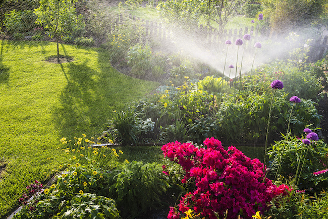 4 Types of Landscape Irrigation