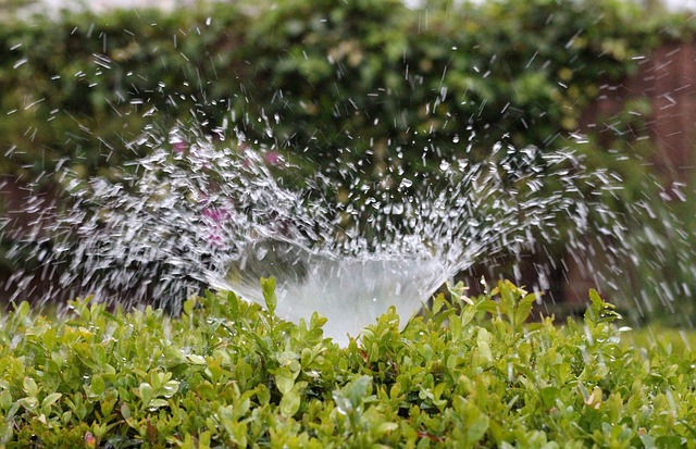Protect Your Investment With an Irrigation Maintenance Plan