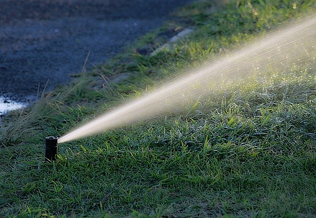 Keep Your Property Looking Gorgeous in 2020 With an Irrigation Service Plan