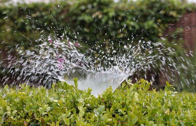 Take a Hard Look at Landscape Irrigation and Save Money On Your Water Bill