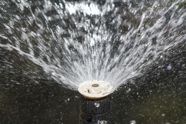 Mistakes to Avoid With Residential Irrigation Installation