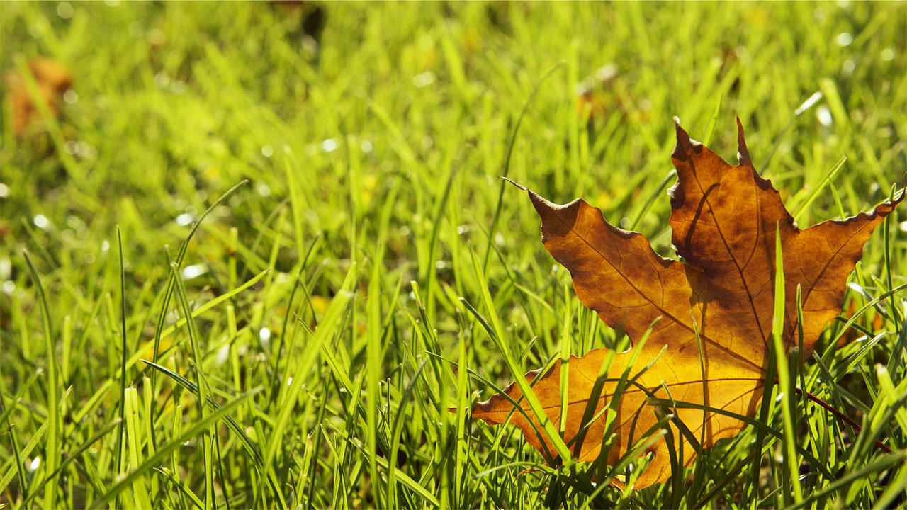 Getting Your Lawn Sprinkler System Ready for Fall