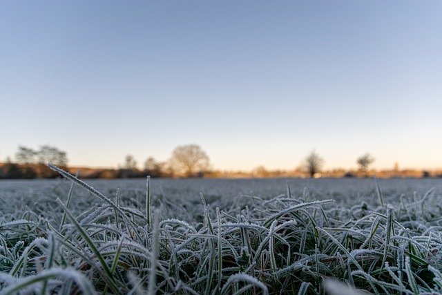 Why Seasonal Irrigation System Shutdown is Essential for Delaware Homes