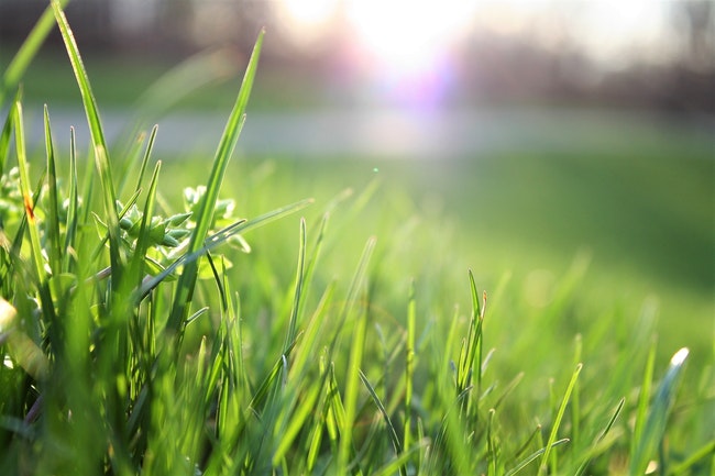 Get Ready for Spring and Summer With an Irrigation Service Plan