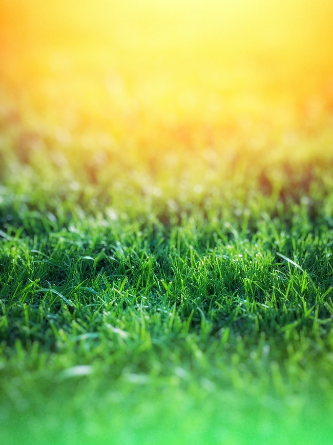 3 Lawn Irrigation Tips to Help Your Grass Thrive