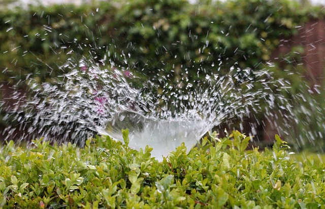 Water-Saving Tips for Landscape Irrigation Systems