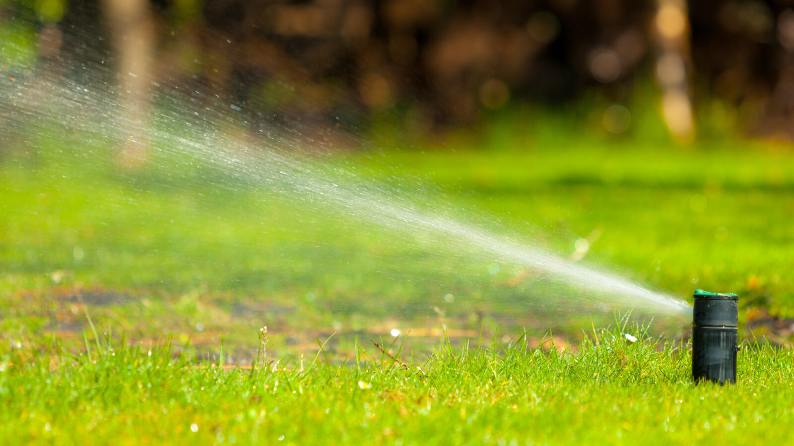 Which Sprinkler Heads Work Best for Your Landscape? sposato irrigation