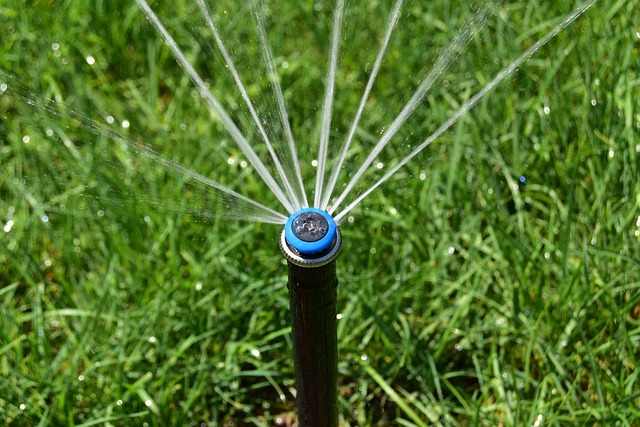 The Importance of Good Lawn Care sposato irrigation