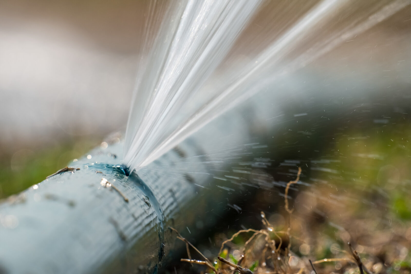 5 Common Hazards to Your Irrigation System sposato irrigation