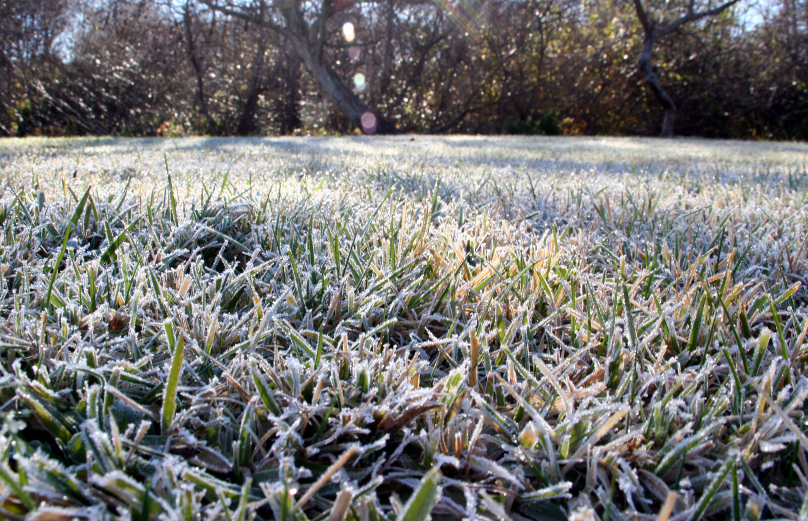 Shutting Down Your Irrigation System for Winter sposato irrigation