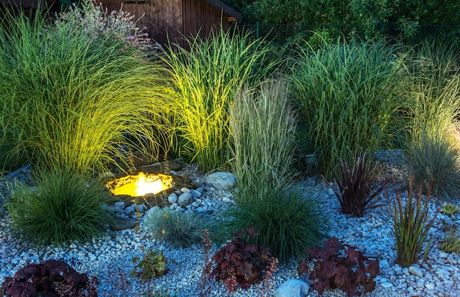 4 Common Landscape Lighting Mistakes sposato irrigation