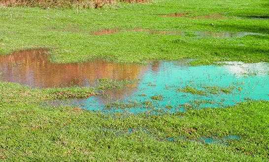 Signs of a Drainage Issue sposato irrigation