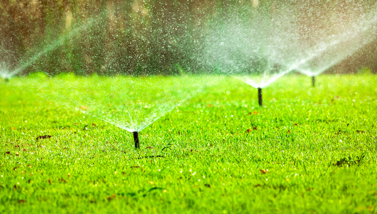 How to Make the Most of Your Residential Irrigation System sposato irrigation