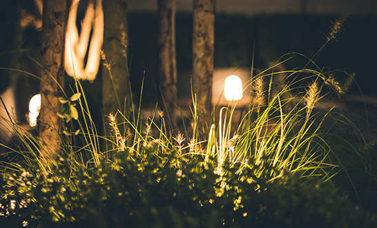 The Benefits of Low-Voltage Outdoor Lighting sposato irrigation