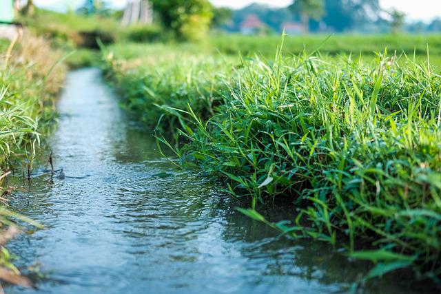 4 Common Landscape Drainage Problems sposato irrigation