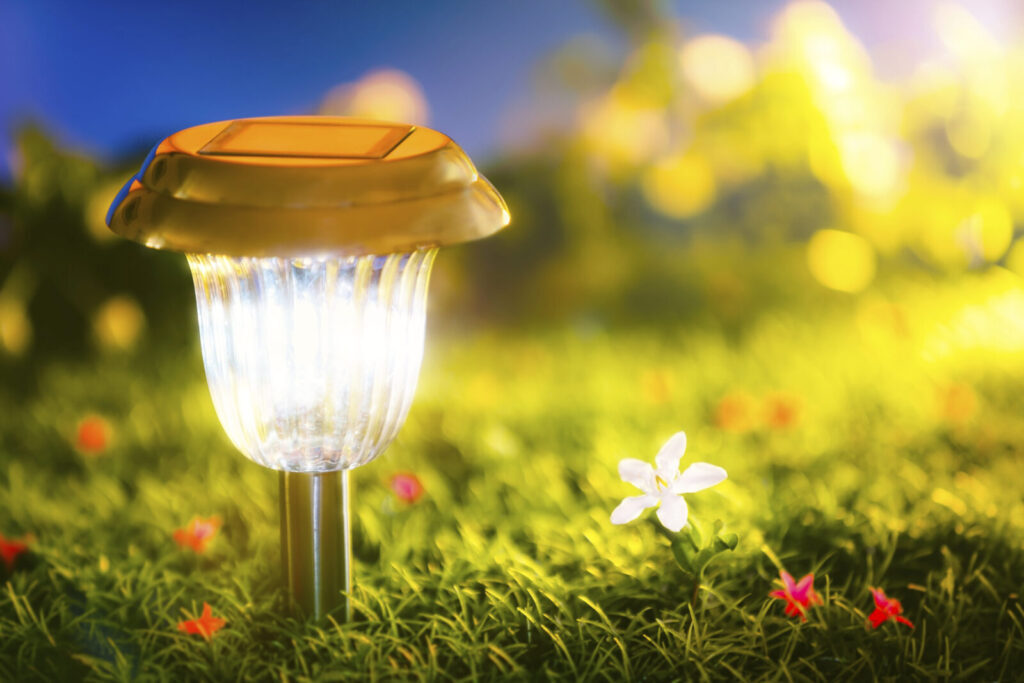 Landscape Lighting Maintenance for Spring sposato irrigation