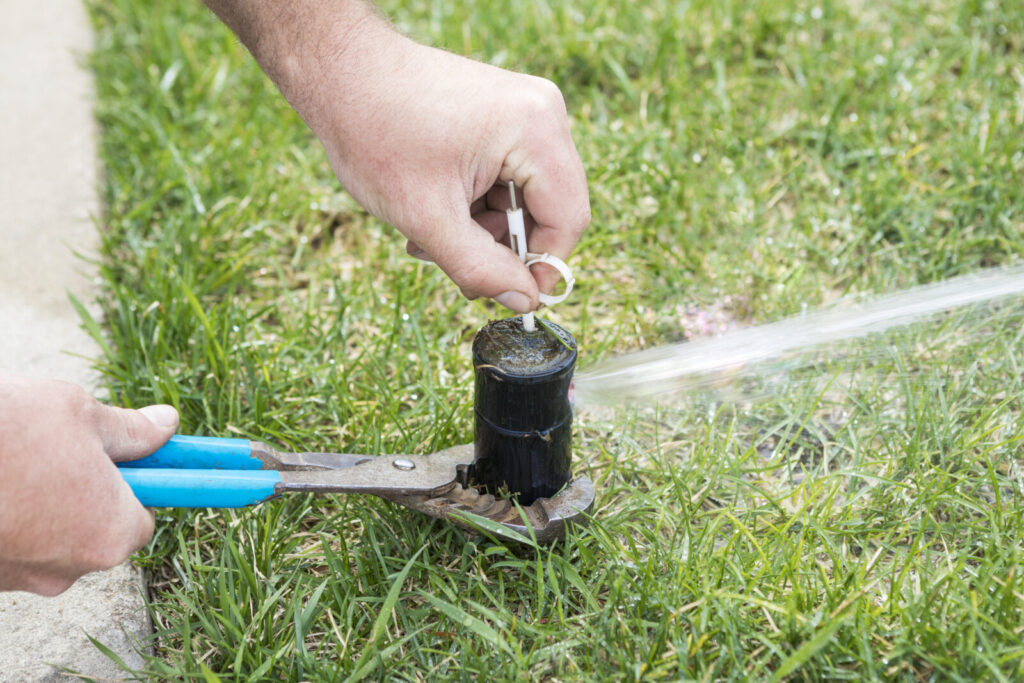 Why You Should Bury Your Downspouts sposato irrigation