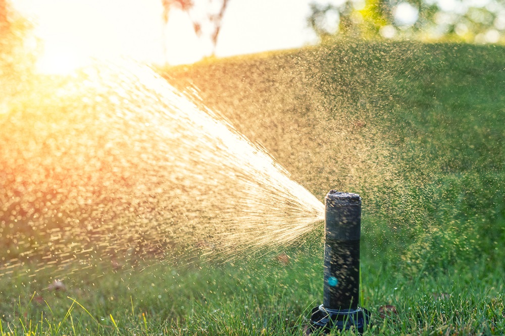 Choosing the Right Sprinkler Heads for Your Landscape sposato irrigation